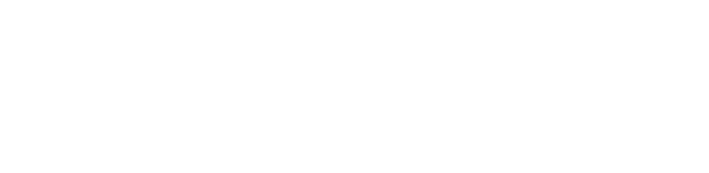 zweizunull